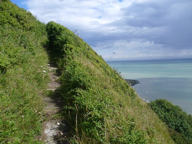 Steps up the cliff at Folkestone Warren